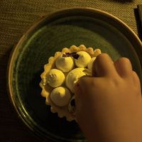   at The Botanist in Zadar