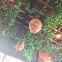  at The Botanist in Zadar