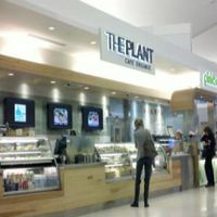  at SFO - The Plant Cafe Organic- T2 in South San Francisco
