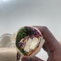 Thai peanut wrap  at SFO - The Plant Cafe Organic- T2 in South San Francisco