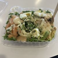   at SFO - The Plant Cafe Organic- T2 in South San Francisco