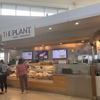   at SFO - The Plant Cafe Organic- T2 in South San Francisco