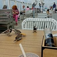 Laid back atmosphere at Nautilus aan Zee in Egmond Aan Zee