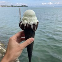 Paid 9 CHF for this  at Dolce Vita Eis-Manufaktur in Rorschach