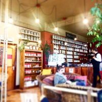 Impressive shelves of tea at Tea Sutra Teahouse in Newcastle Upon Tyne
