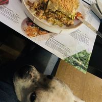 Raw lasagne  at Nebos in Kyiv