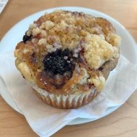 Vegan blackberry muffin   at Guilder Cafe at Powell's City of Books in Portland