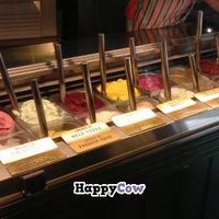 Counter
 at Gelateria Dei Neri in Florence