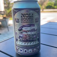 blackberry lavender kombucha - the best!   at End of the Line Cafe in Pensacola
