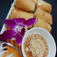  at Chada Vegetarian Restaurant in Chiang Mai