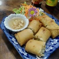 Fried rolls with peanut sauce at Chada Vegetarian Restaurant in Chiang Mai