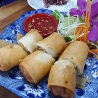 Spring rolls at Chada Vegetarian Restaurant in Chiang Mai