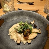 Risotto with mushrooms  at Gasthaus Spitzer in Au In Der Hallertau