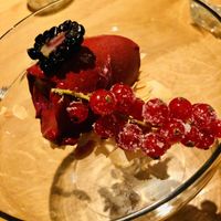 Desert: fruit sorbet  at Gasthaus Spitzer in Au In Der Hallertau