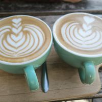 Café con leche de avena at My Coffee Porto in Porto