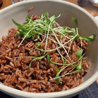   at Inari in Rio De Janeiro