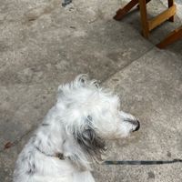 Kurt  at Inari in Rio De Janeiro