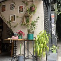 Interior   at Inari in Rio De Janeiro