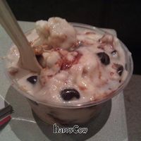 half a rocky-road tSoynamis at nami Vegan Sweets in Phoenix