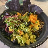 Hippy bowl without yoghurt   at Bill's - Baker St in London