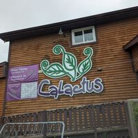 Calactus at Calactus Cafe in Moncton