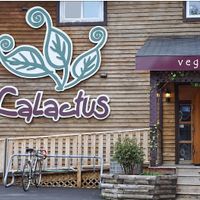 Outside at Calactus Cafe in Moncton