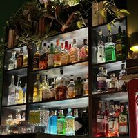   at bar GINGER in Prague