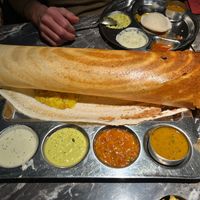 paper roast masala (big version of dosa!!!)  at Saravanaa Bhavan in Cologne