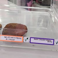  at Blonde Biscuiterie in Montreal