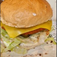  at StirrUps in Evesham