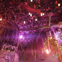 The forest at Ostara Bar in Oslo