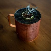 Mule at Bhumi in Tijuana