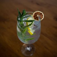 Gin&tonic at Bhumi in Tijuana