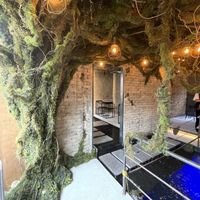 Brining trees wrapped by moss to inside  at Savage Garden - Maybe closed in Seoul