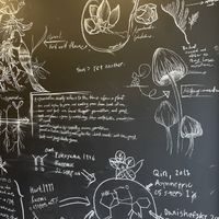 Wall decoration   at Savage Garden - Maybe closed in Seoul