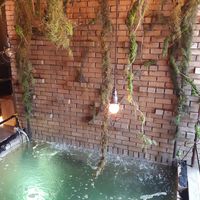 Cool water features at Savage Garden - Maybe closed in Seoul