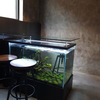 Fish tank table 🐠 at Savage Garden - Maybe closed in Seoul