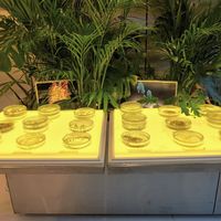  at Savage Garden - Maybe closed in Seoul