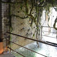 Water level at Savage Garden - Maybe closed in Seoul