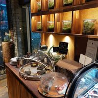  at Savage Garden - Maybe closed in Seoul