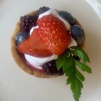 Fruit/berry tart! Not so sweet - perfect filling!  at Savage Garden - Maybe closed in Seoul