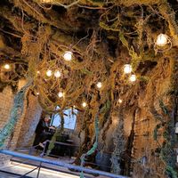 Inside at Savage Garden - Maybe closed in Seoul