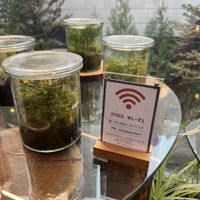   at Savage Garden - Maybe closed in Seoul