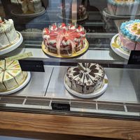 All cakes at Trick or Treat Vegan Sweets (formerly Canelita Sweets) in Osaka