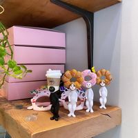 Cute doughnut cats in store   at Trick or Treat Vegan Sweets (formerly Canelita Sweets) in San Diego
