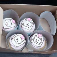 Order made cupcakes at Trick or Treat Vegan Sweets (formerly Canelita Sweets) in Osaka