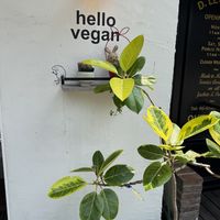   at Trick or Treat Vegan Sweets (formerly Canelita Sweets) in Osaka