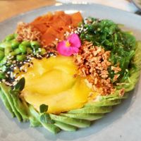 Poke bowl at Avokádo in Brno