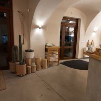 Interior at Avokádo in Brno