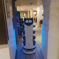  at OPLANTE Vegan Sushi & Wok  in Montreal